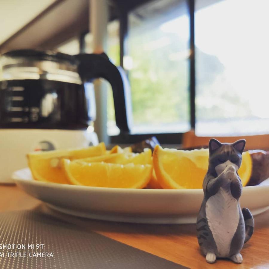 Taipei Jinguashi Cloud Mountain Homestay B&B Jiufen Dış mekan fotoğraf